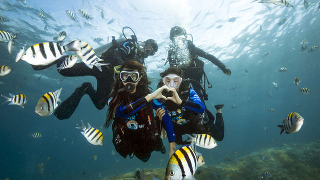 Wuzhizhou Island Diving