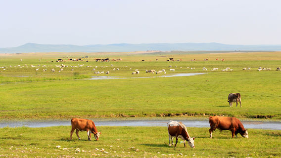 Qixian Lake