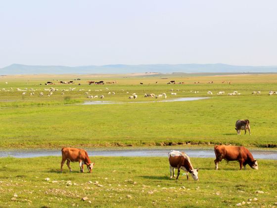 Qixian Lake