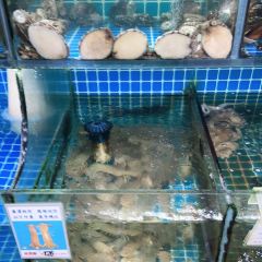 金潮饭店(普陀山店) User Photo
