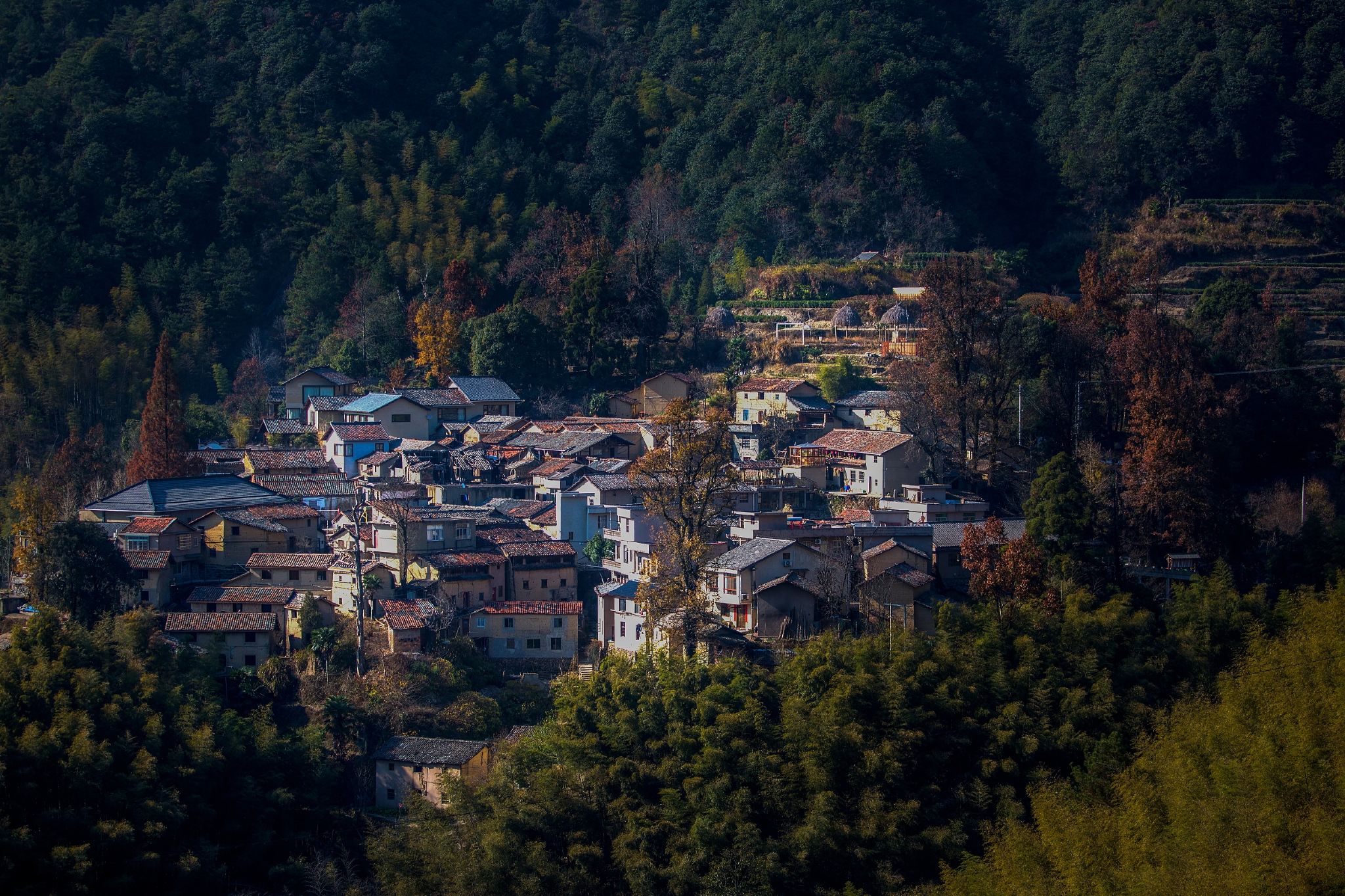 松陽楊家堂村+陳家鋪村+酉田村+四都鄉西坑村+平田村【包車遊】