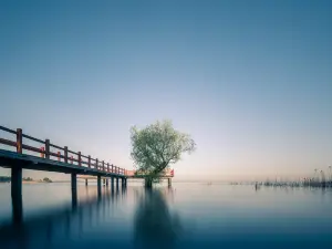 훙쩌 호수