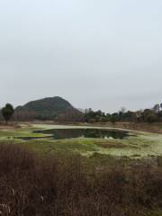 飛練湖濕地公園