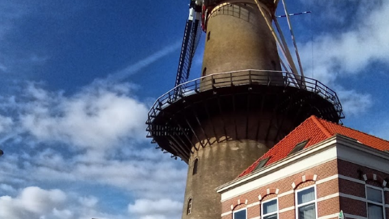 Molen Kyck Over Den Dyck