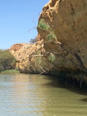 Kayak The Riverland