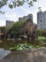 Citong Park, Quanzhou