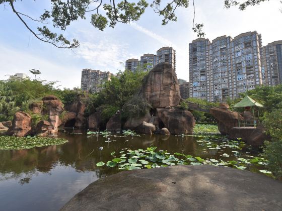 Citong Park, Quanzhou