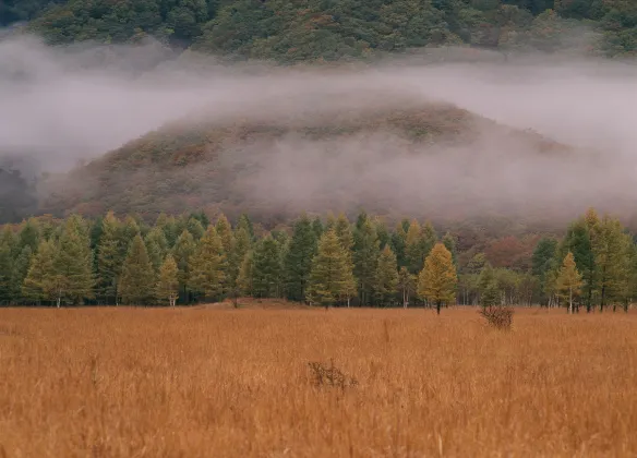 4-звездочные отели в г. Никко