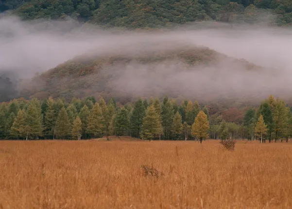 Отзывы об отеле Tochigi Grand Hotel