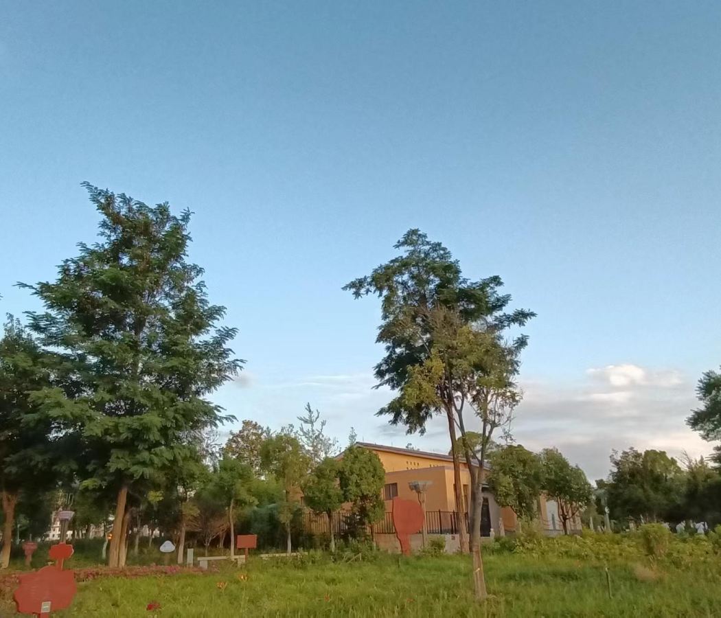Culture Sports Park/Zhujiangyuan Ancient Town