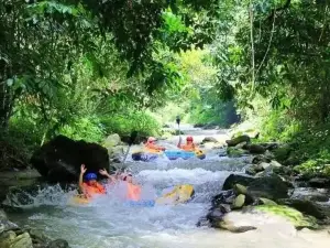 楠木林漂流