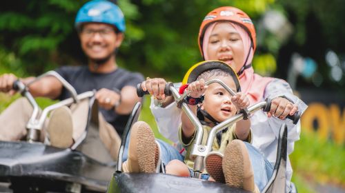 Skyline Luge Singapore