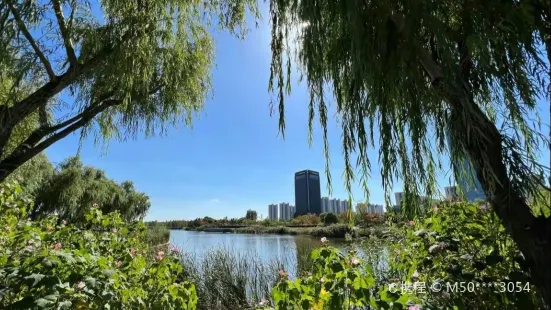 Longyouhe Ecology Park