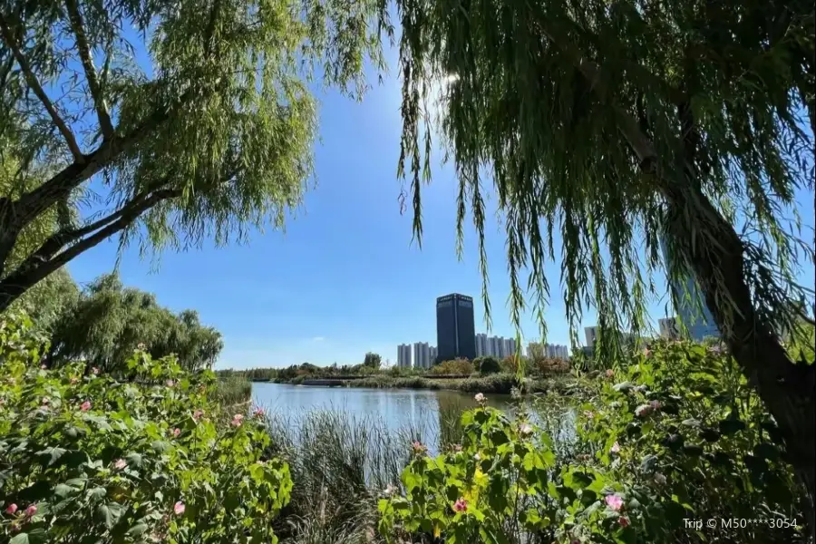 Longyouhe Ecology Park