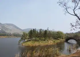 沭陽西郊森林公園