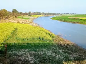 タムサ川