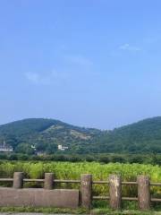 廬江夾山蕻森林公園生態旅遊區