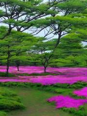 Abashiri Phlox Park