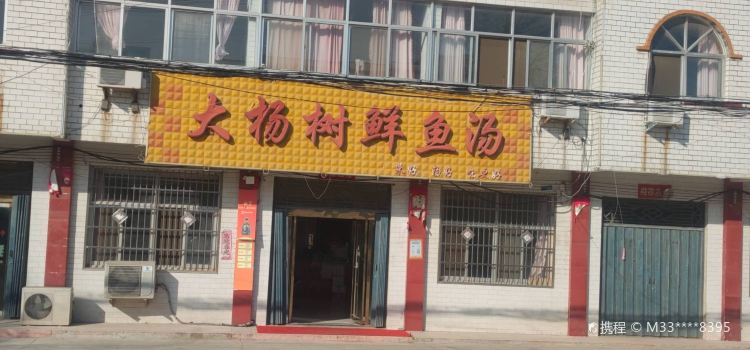 大楊樹鮮魚湯