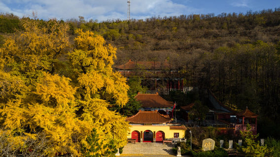 Anqiu Gongye Chang College