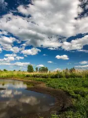 Duluhe Wetland Nature Reserve