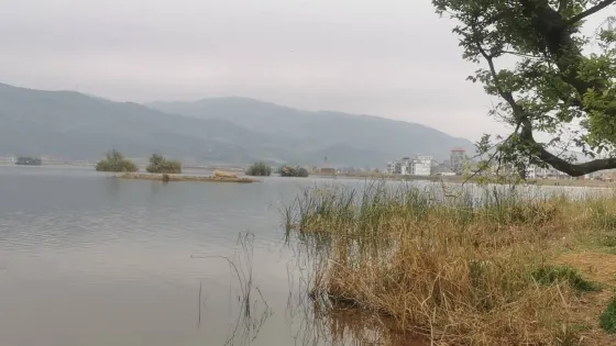 瀘西縣黃草洲國家濕地公園
