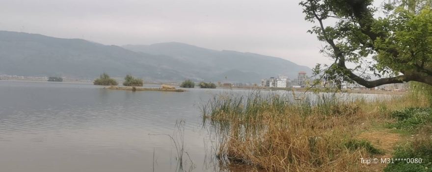 Huangcaozhou National Wetland Park