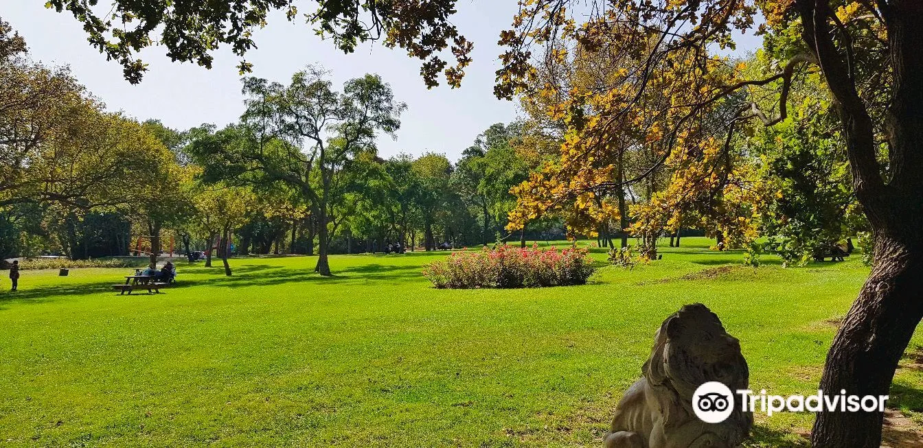 2_Florya Atatürk Forest