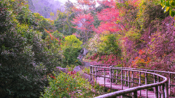 Qishan National Forest Park