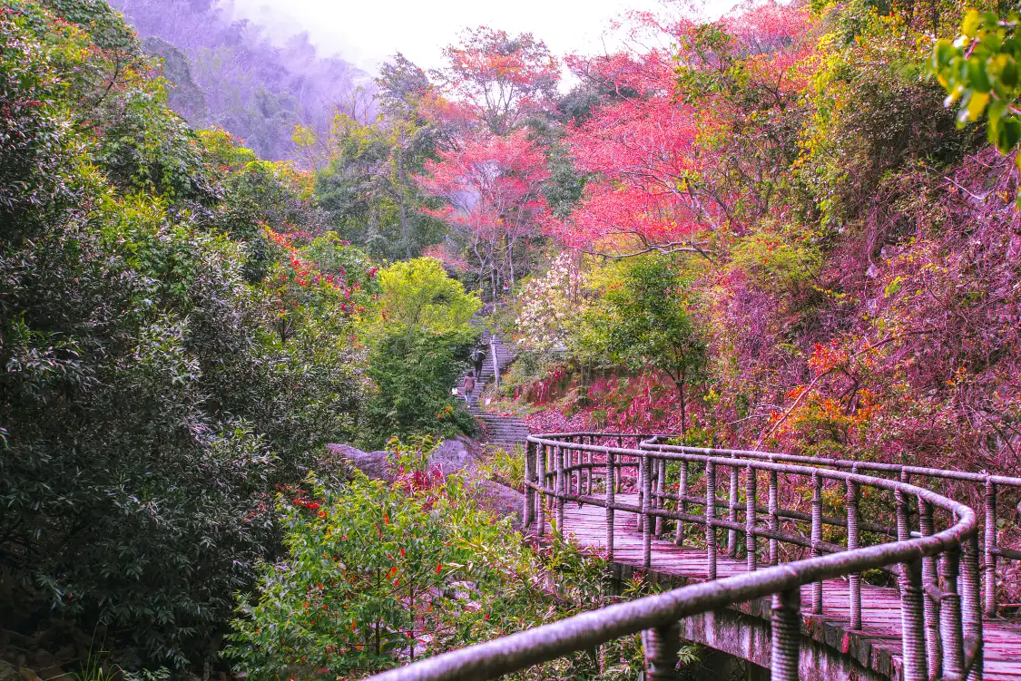 Hotels near Qishan National Forest Park