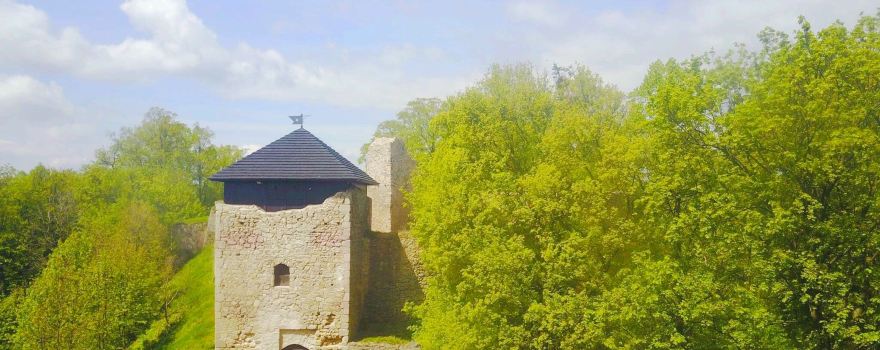 Burg Lukov