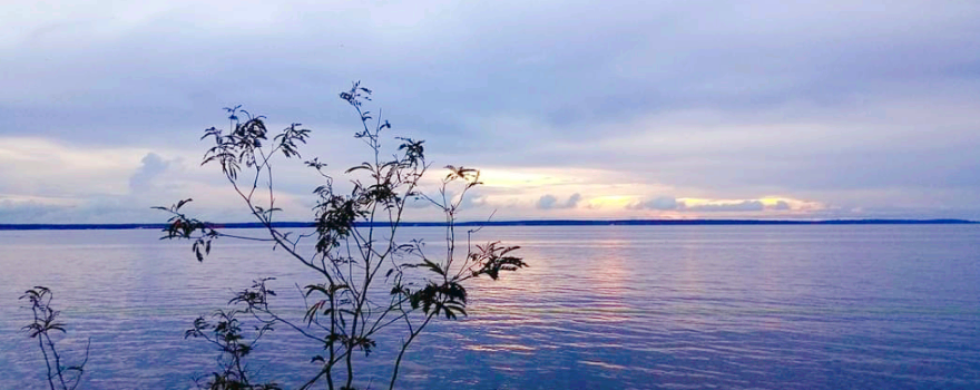Rio Negro