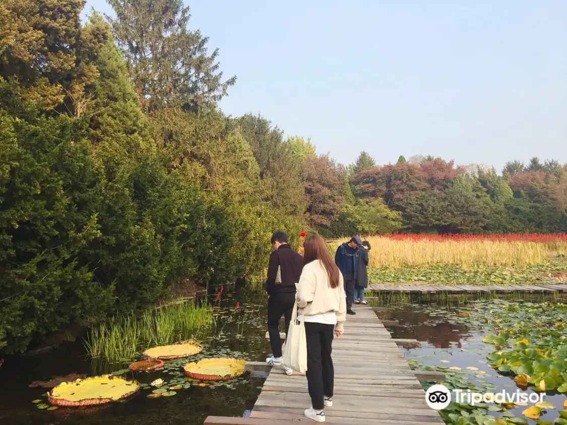 Hotels near Byukchoji Gardens