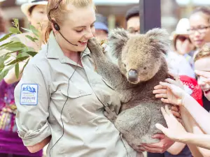 Ballarat Wildlife Park
