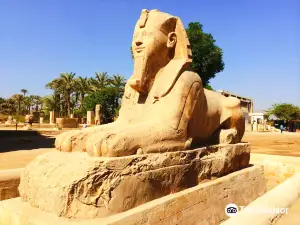 Memphis and Sakkara