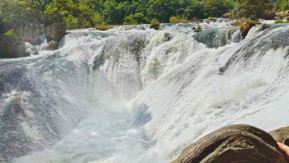 Water Stone Forest Area