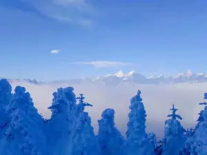 우배산(뉴베이산)