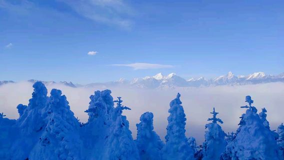 Гора Би-Би-Си