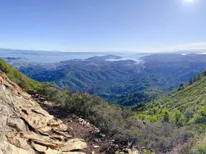 Mount Tamalpais State Park