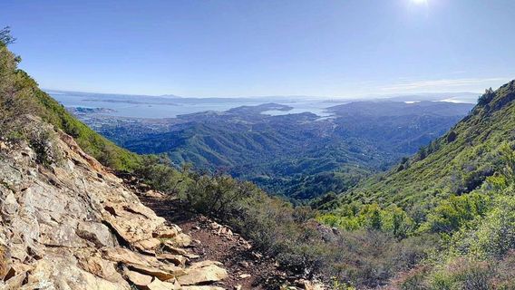 Mount Tamalpais State Park