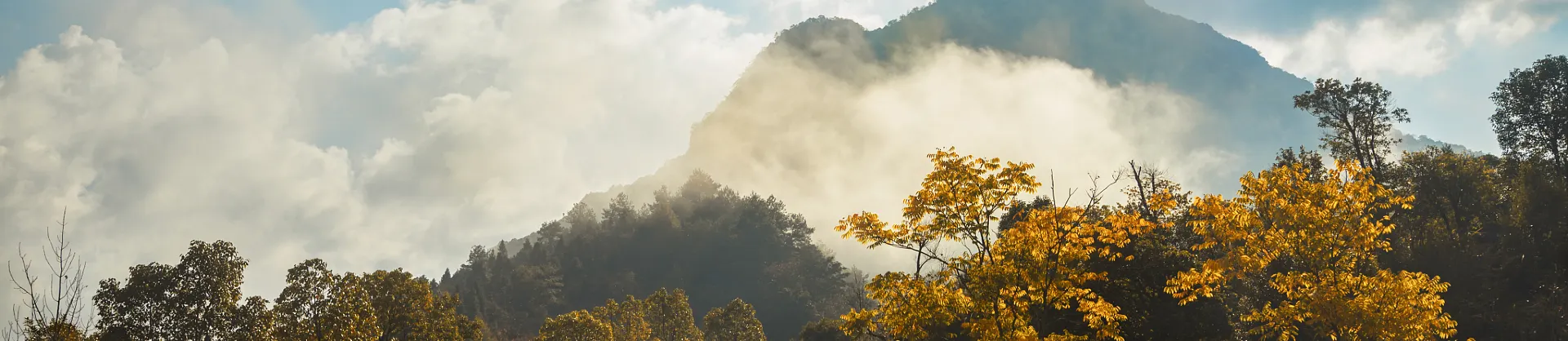 Fall Viewing Attractions