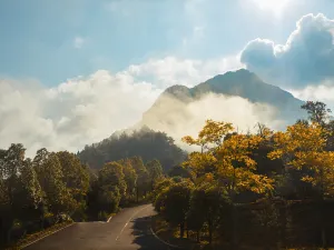 Dajue Mountain