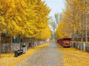Yuanmingyuan Park