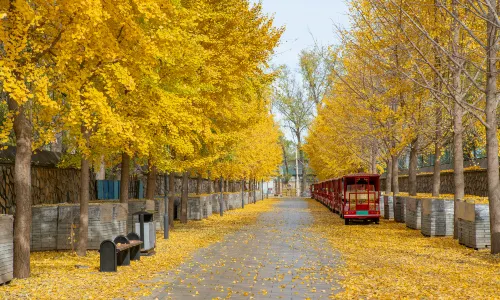 Yuanmingyuan Park