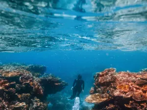 Great Barrier Reef