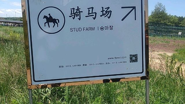 zhang bei tian bao na su tu cao yuan lv you du jia qu - qi ma chang