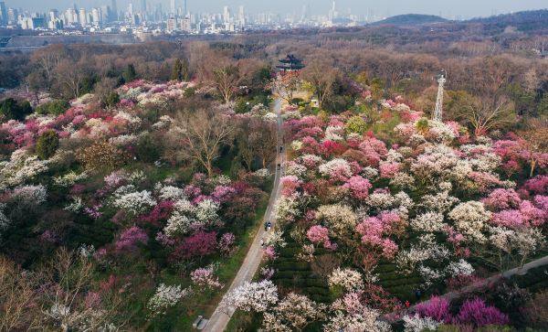 Zhongshan Mountain National Park