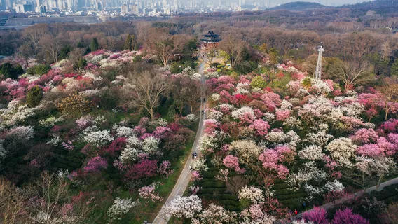 Zhongshan Mountain National Park