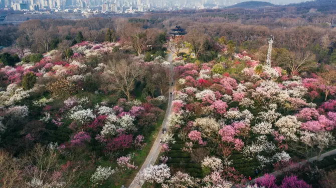 1_鐘山風景名勝區