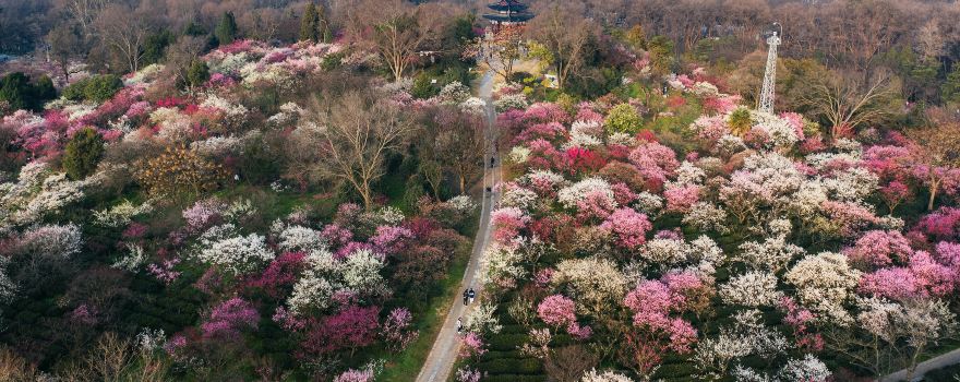 Zhongshan Mountain National Park